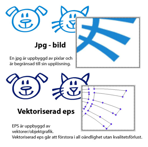 Vad är en eps?