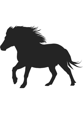 Dekal Shetlandsponny