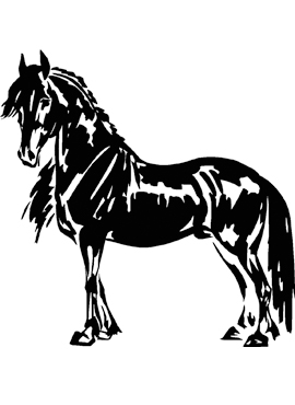 Dekal Friesehäst