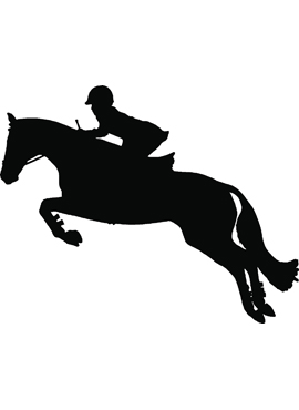 Dekal ponny hoppning