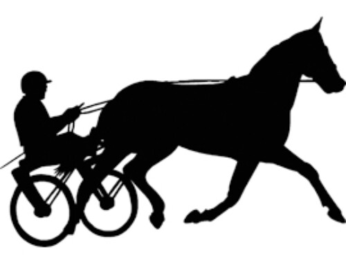 Travhäst T01