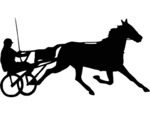Travhäst T02