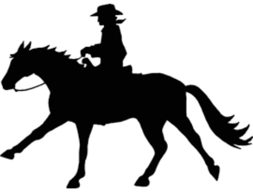 Western W02