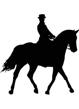 Dekal dressyrhäst
