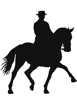 Dekal dressyrhäst